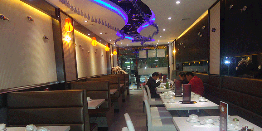 �ɹ�����